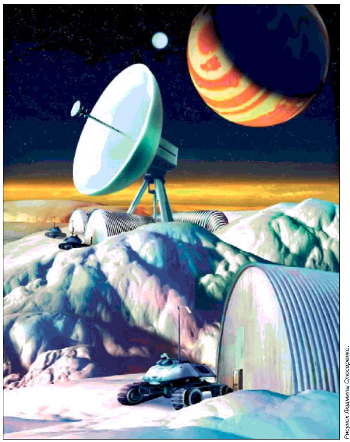 Обложка Дикие собаки