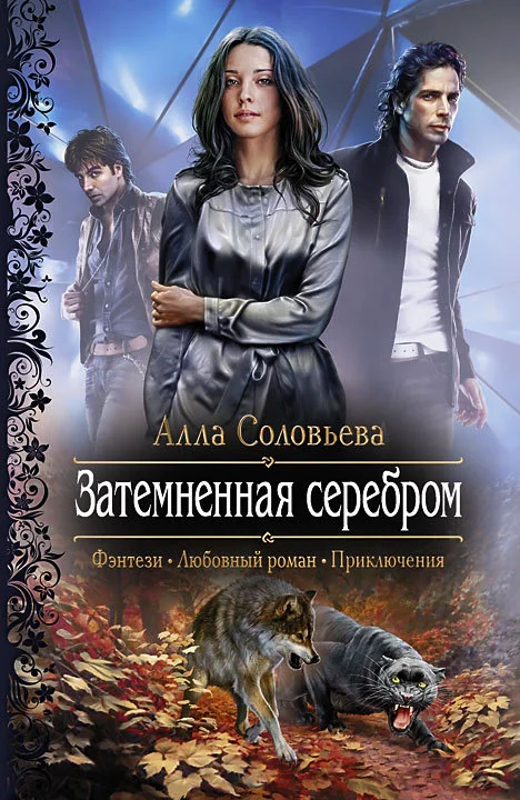 Обложка Затемненная серебром