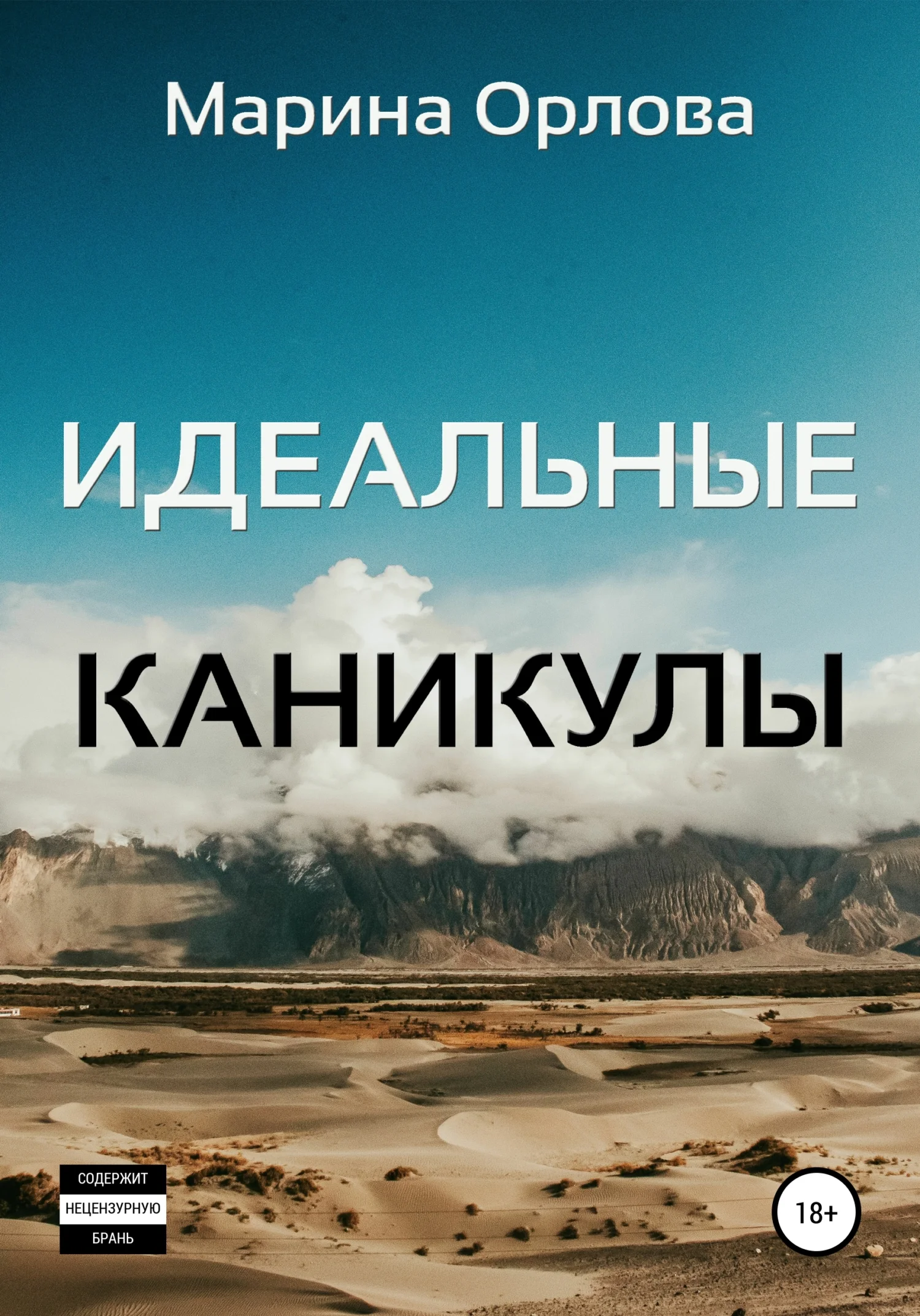 Обложка Идеальные каникулы
