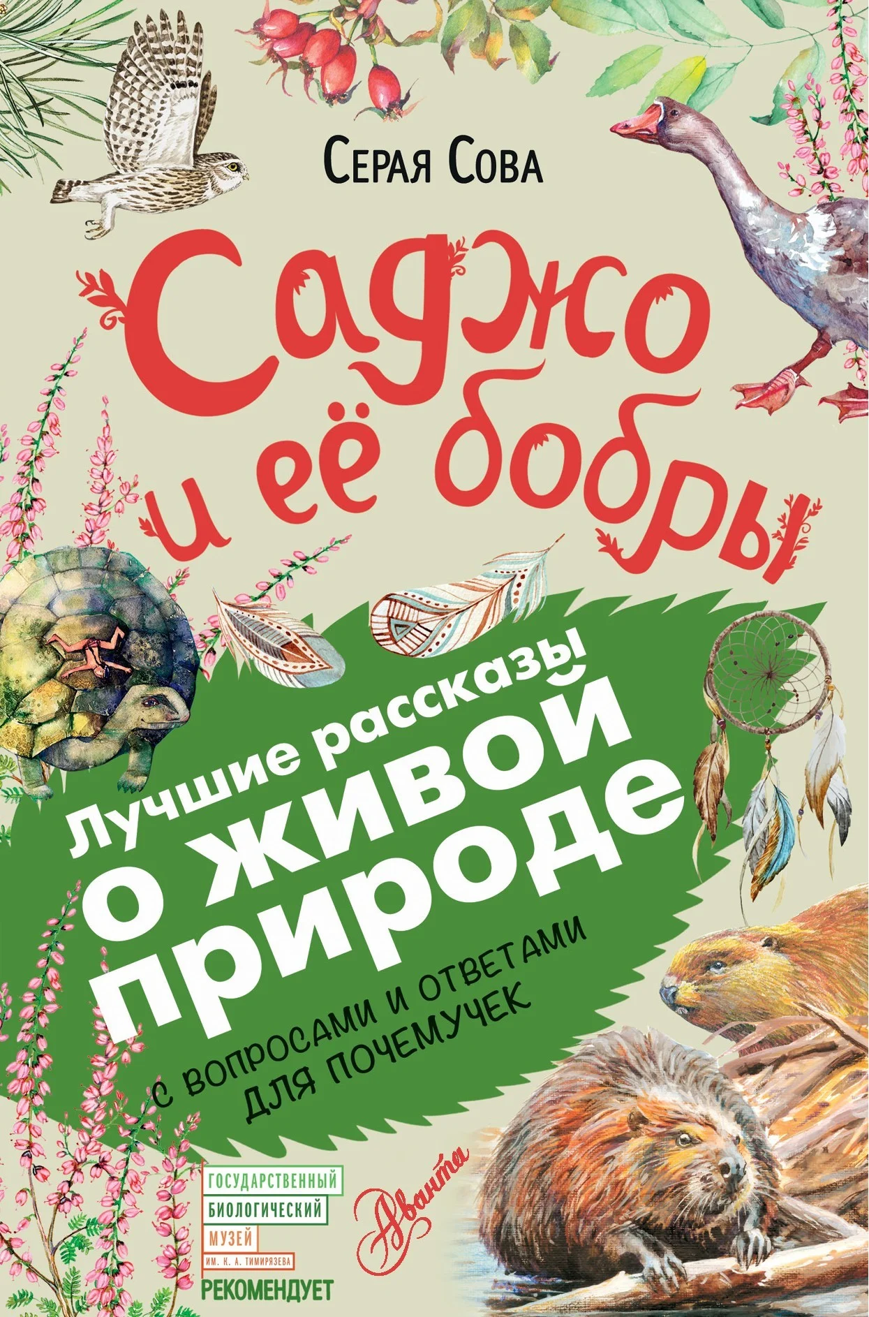Обложка Саджо и ее бобры