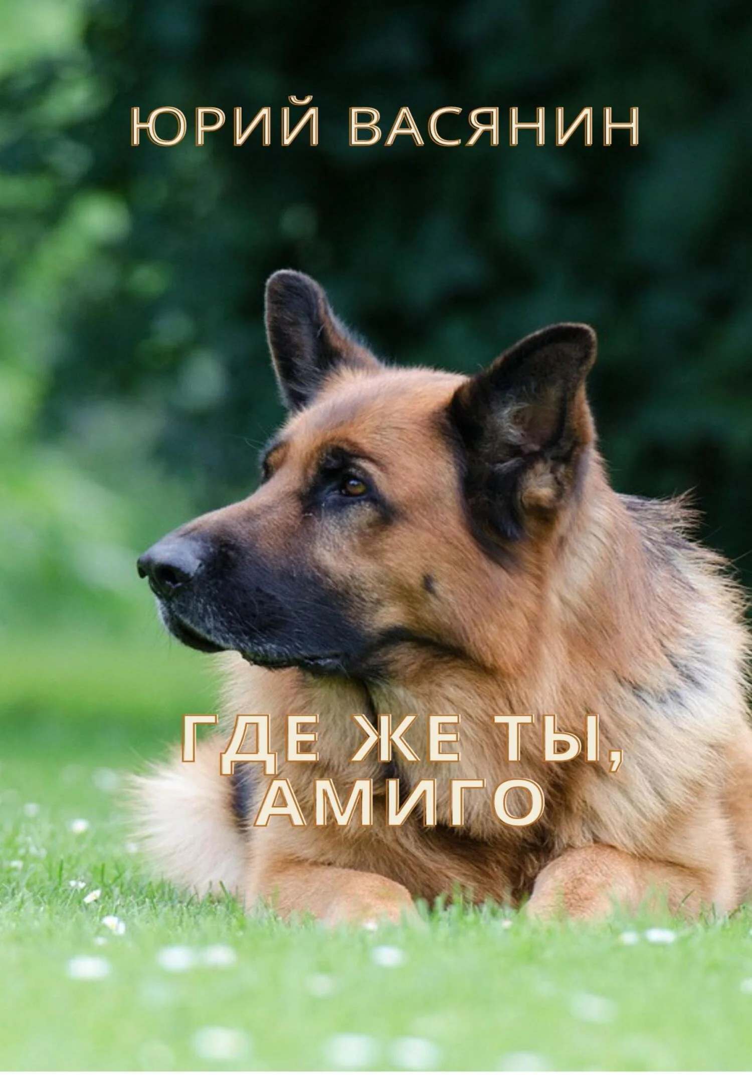 Обложка Где же ты, Амиго?