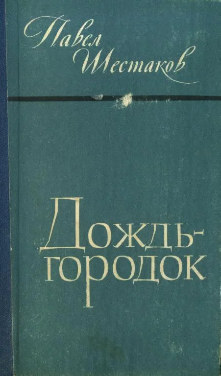 Обложка Дождь-городок