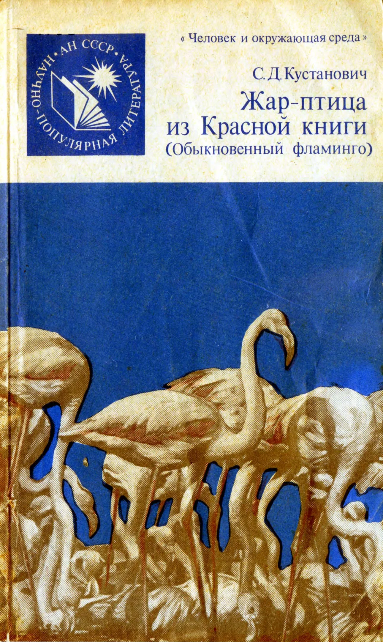 Обложка Жар-птица из Красной книги. Обыкновенный фламинго