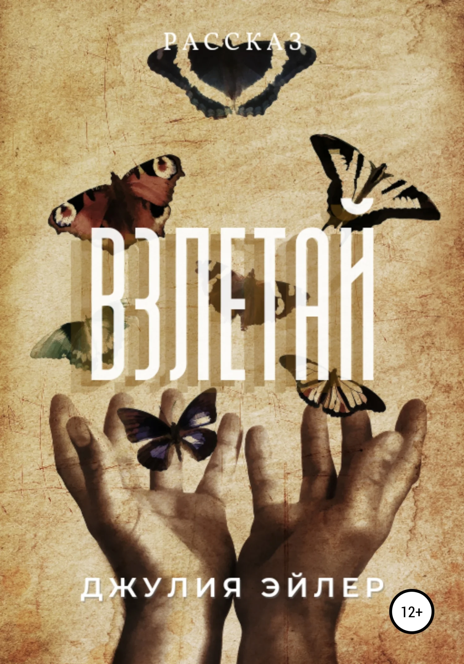 Обложка Взлетай