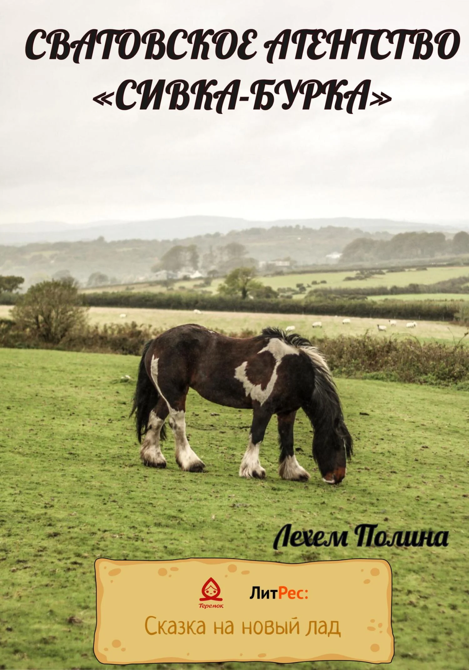 Обложка Сватовское агентство «Сивка-Бурка»