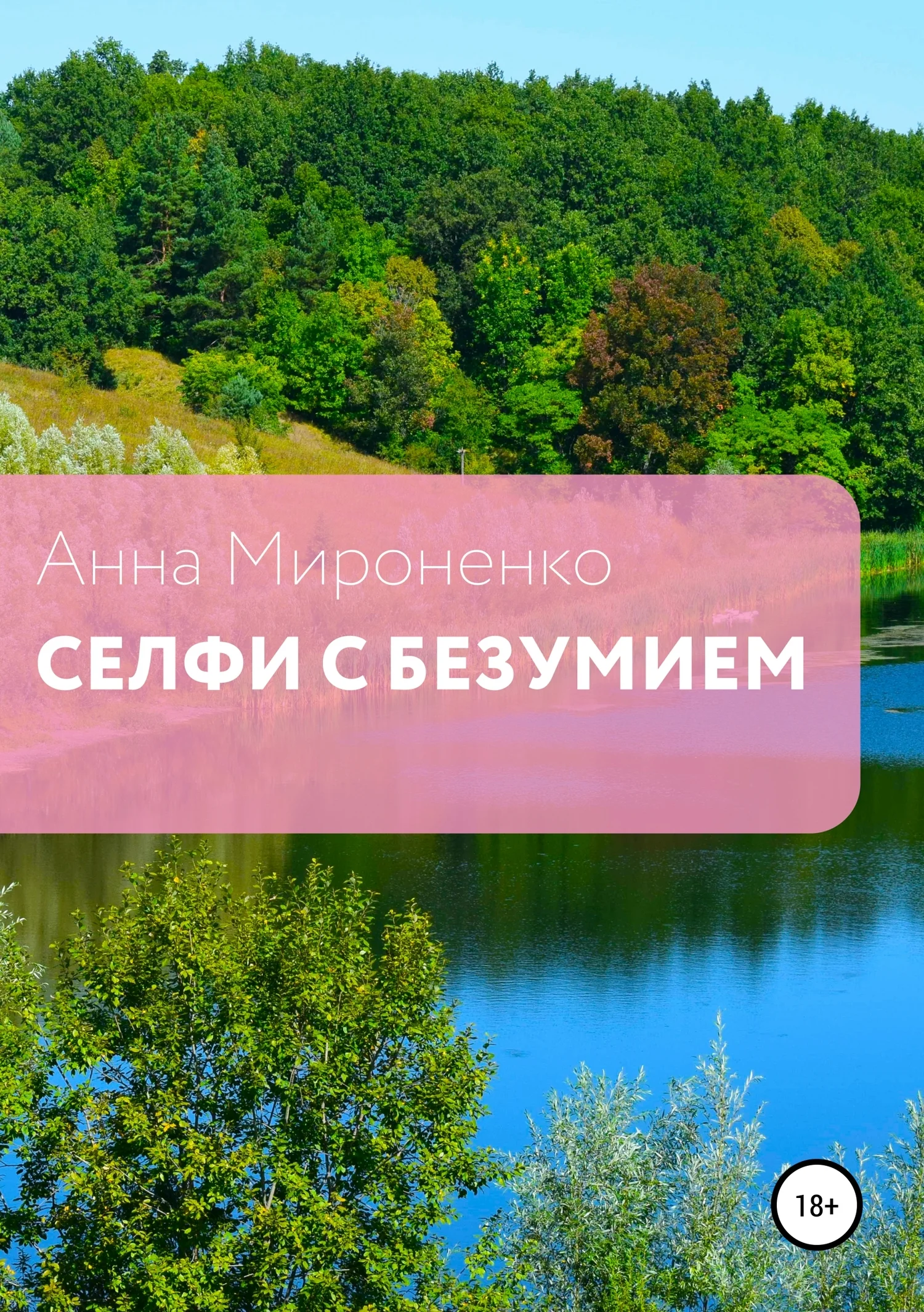 Обложка Селфи с безумием. Сборник рассказов