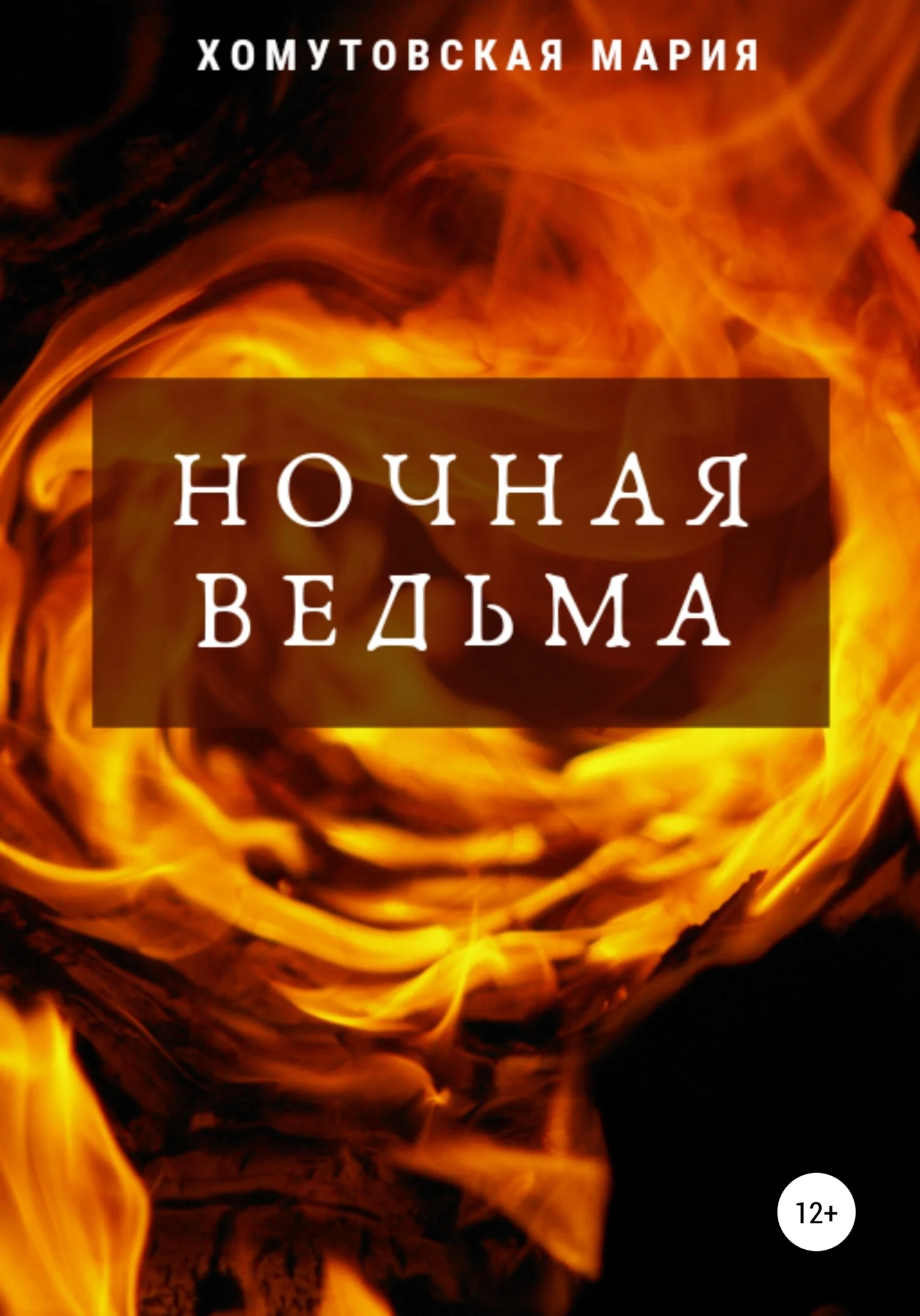 Обложка Ночная ведьма