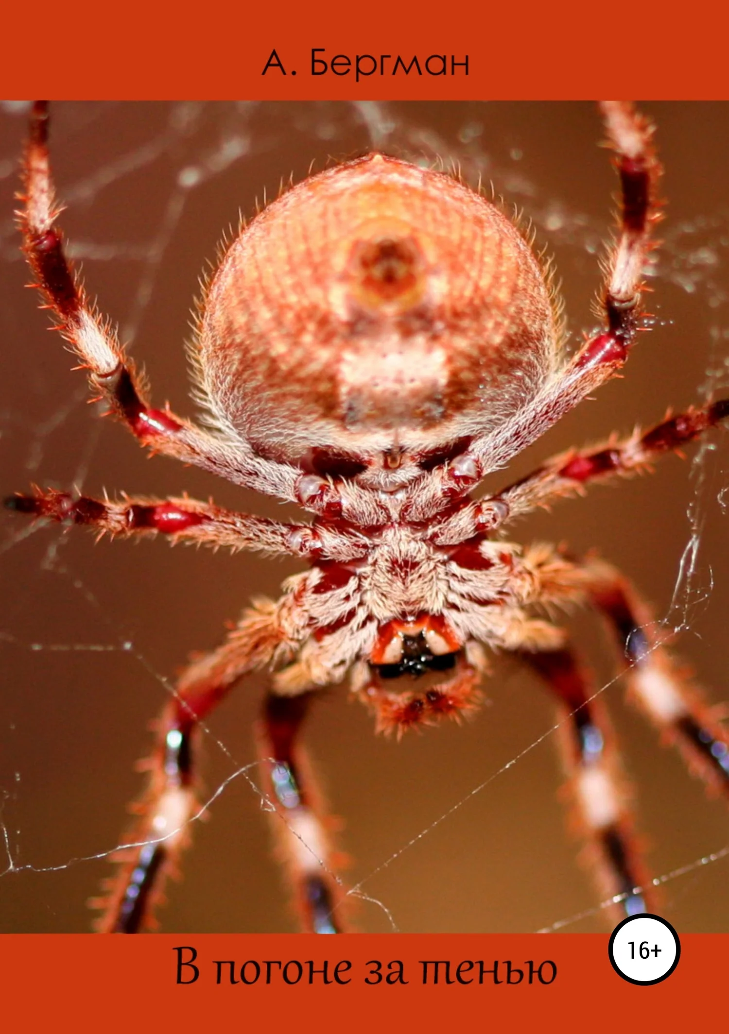 Обложка В погоне за тенью