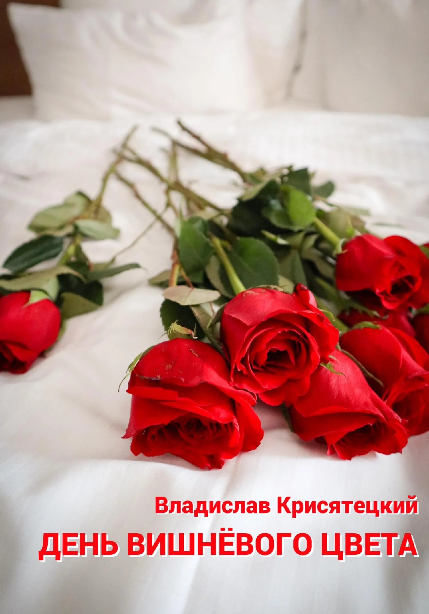 Обложка День вишневого цвета