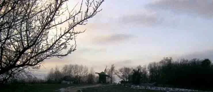 Обложка Музыканты