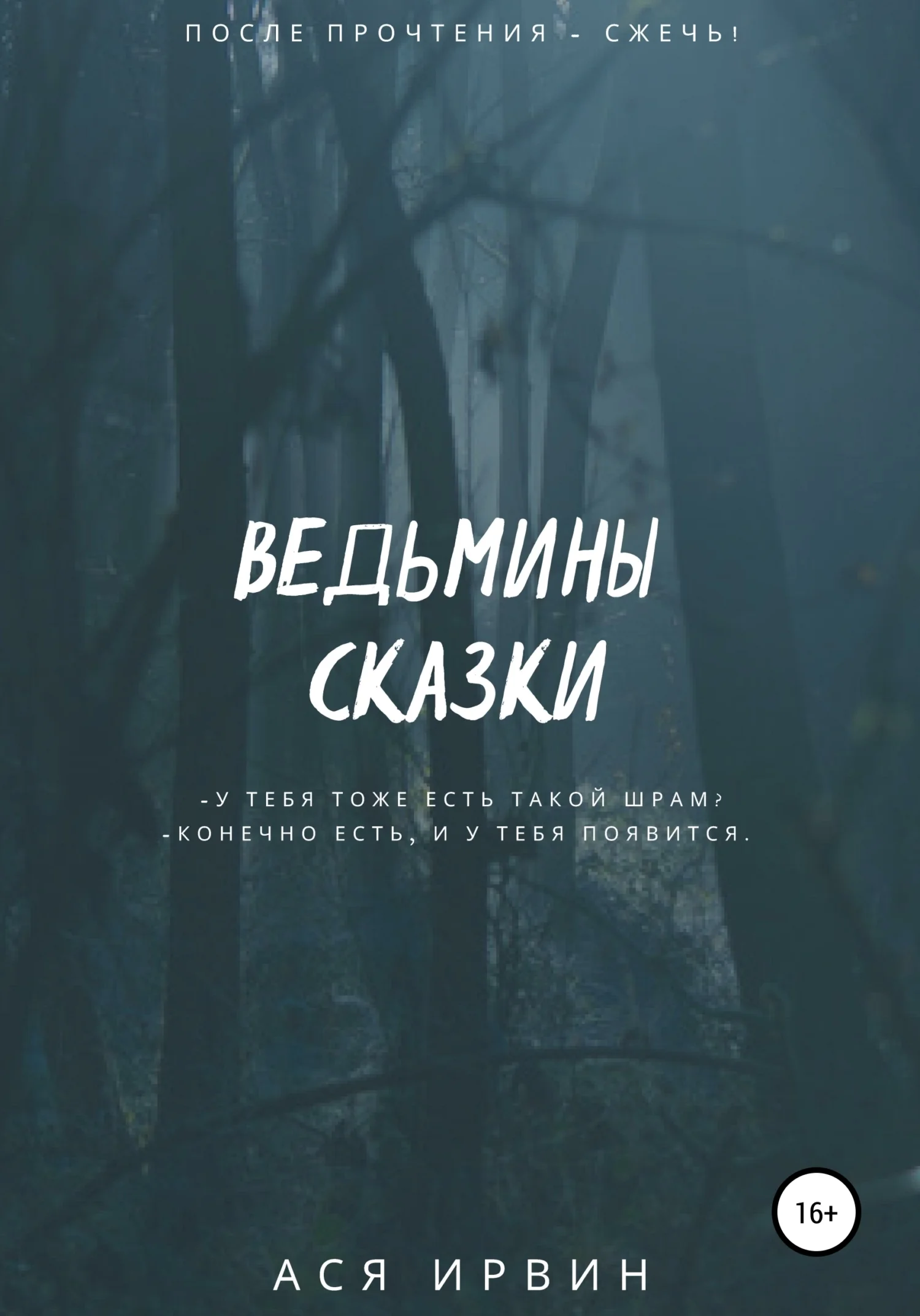 Обложка Ведьмины сказки