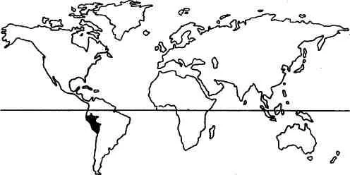 Обложка Морская свинка