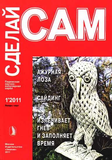Обложка Ажурная лоза. Сайдинг. Излечивает гнев и заполняет время...