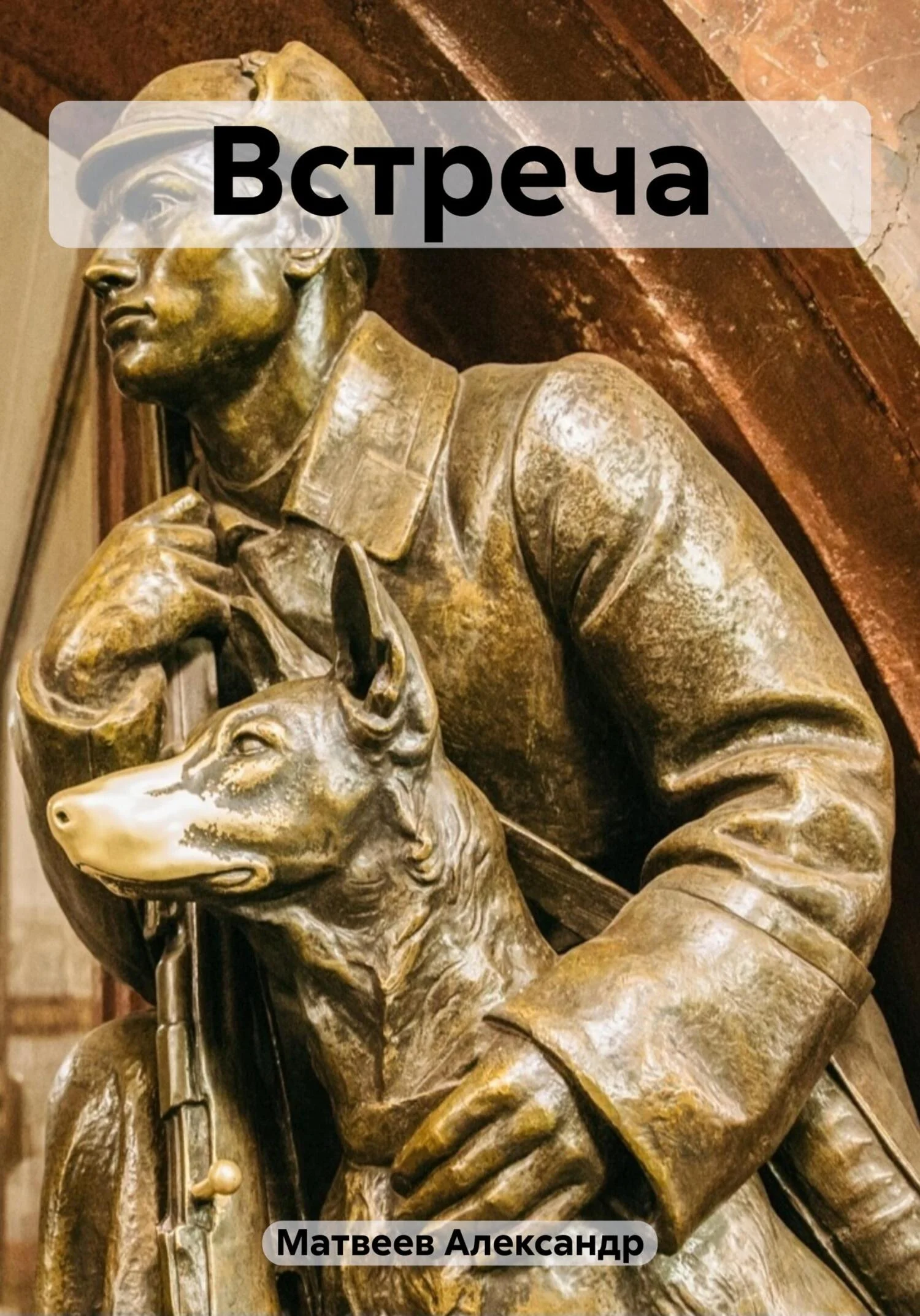 Обложка Встреча