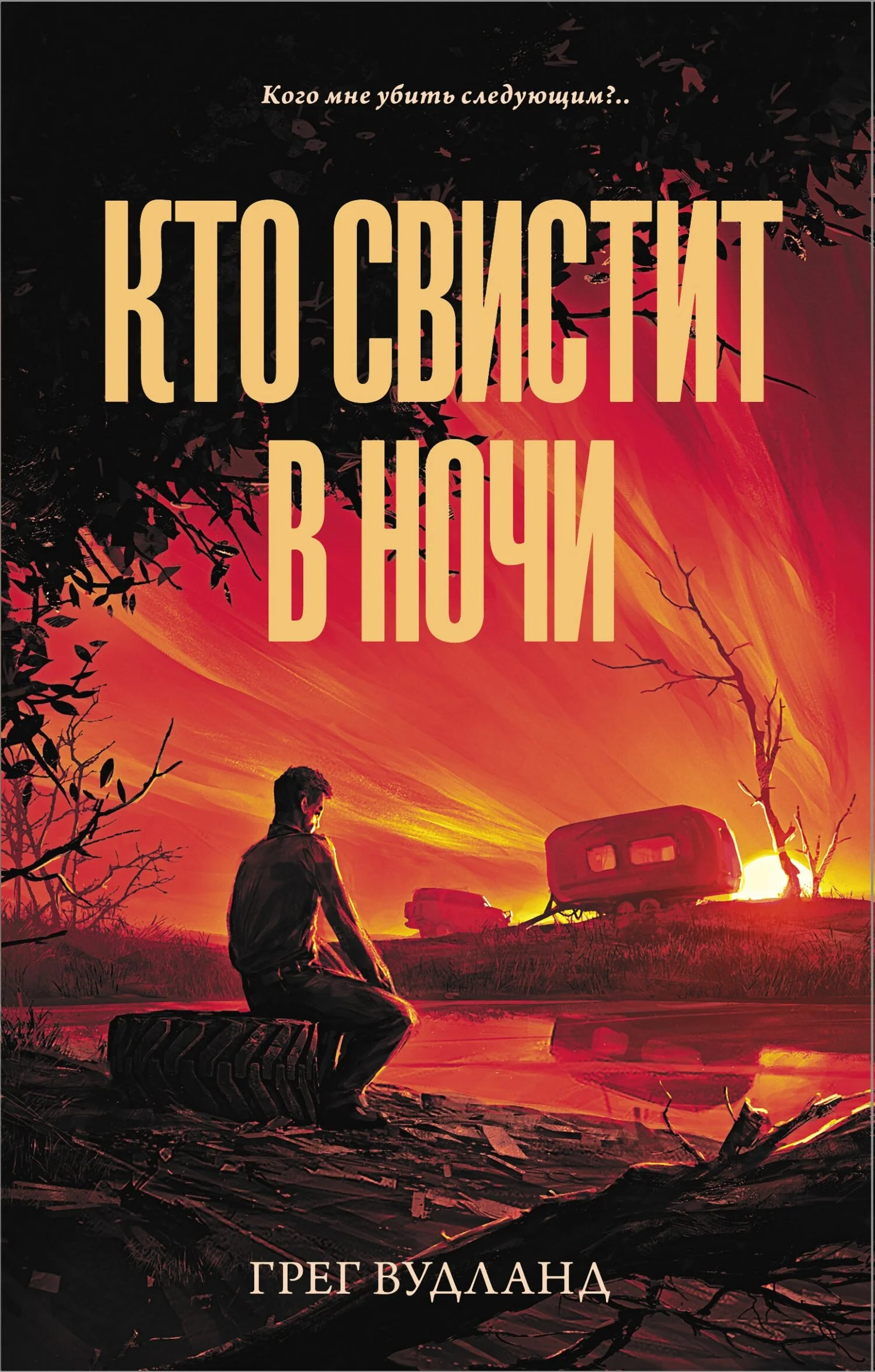 Обложка Кто свистит в ночи
