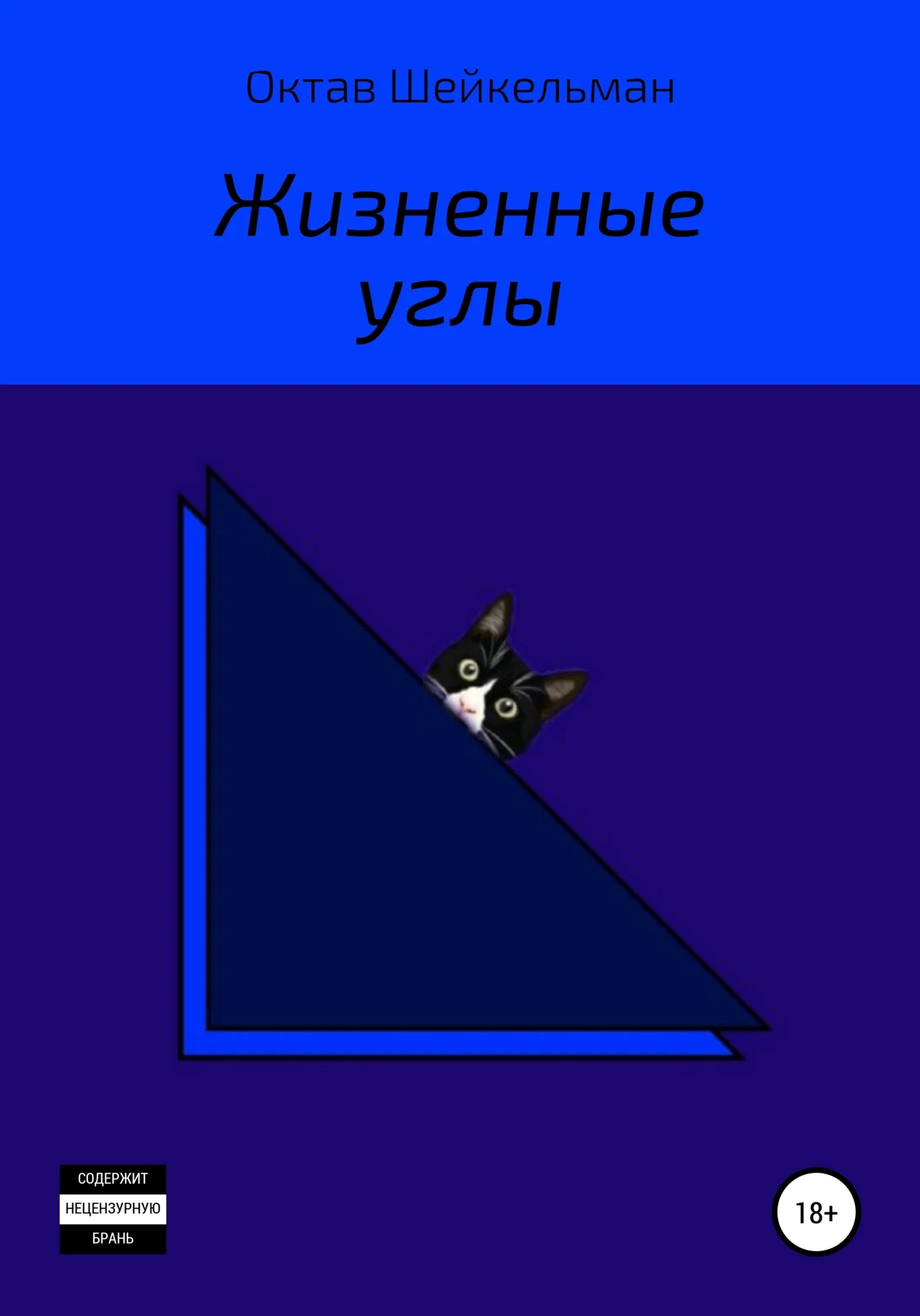 Обложка Жизненные углы