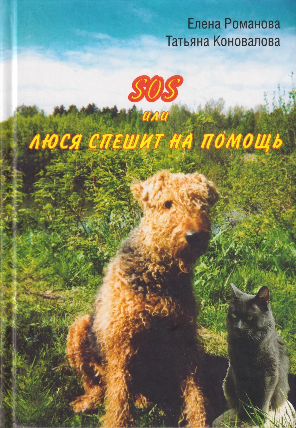 Обложка SOS, или Люся спешит на помощь