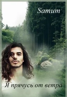 Обложка Я прячусь от ветра