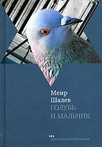 Обложка Голубь и Мальчик