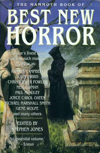 Обложка Дитя камней