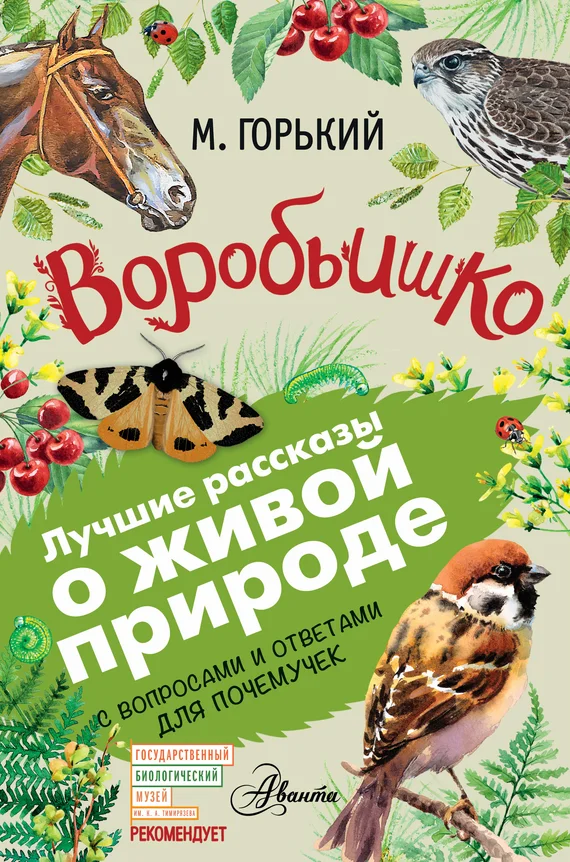 Обложка Воробьишко