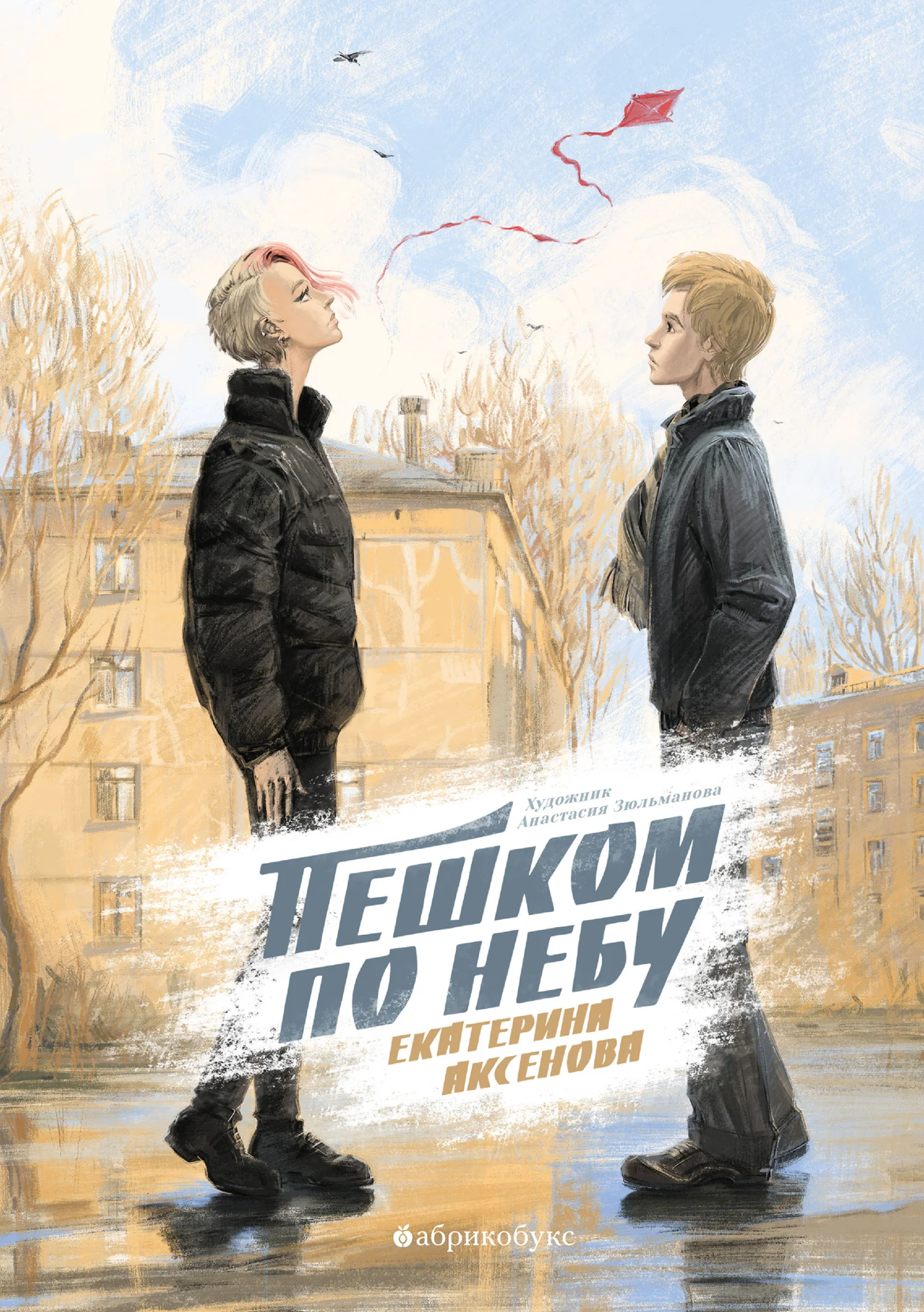 Обложка Пешком по небу