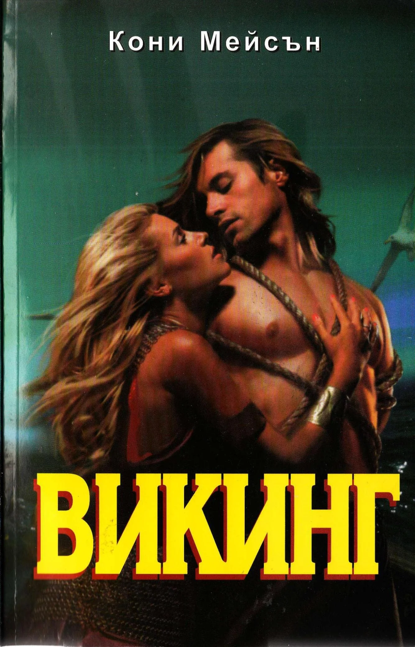 Обложка Викинг