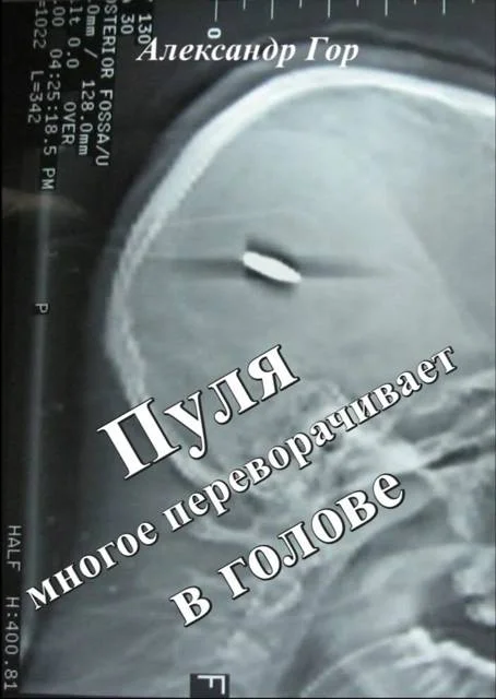 Обложка Пуля многое переворачивает в голове