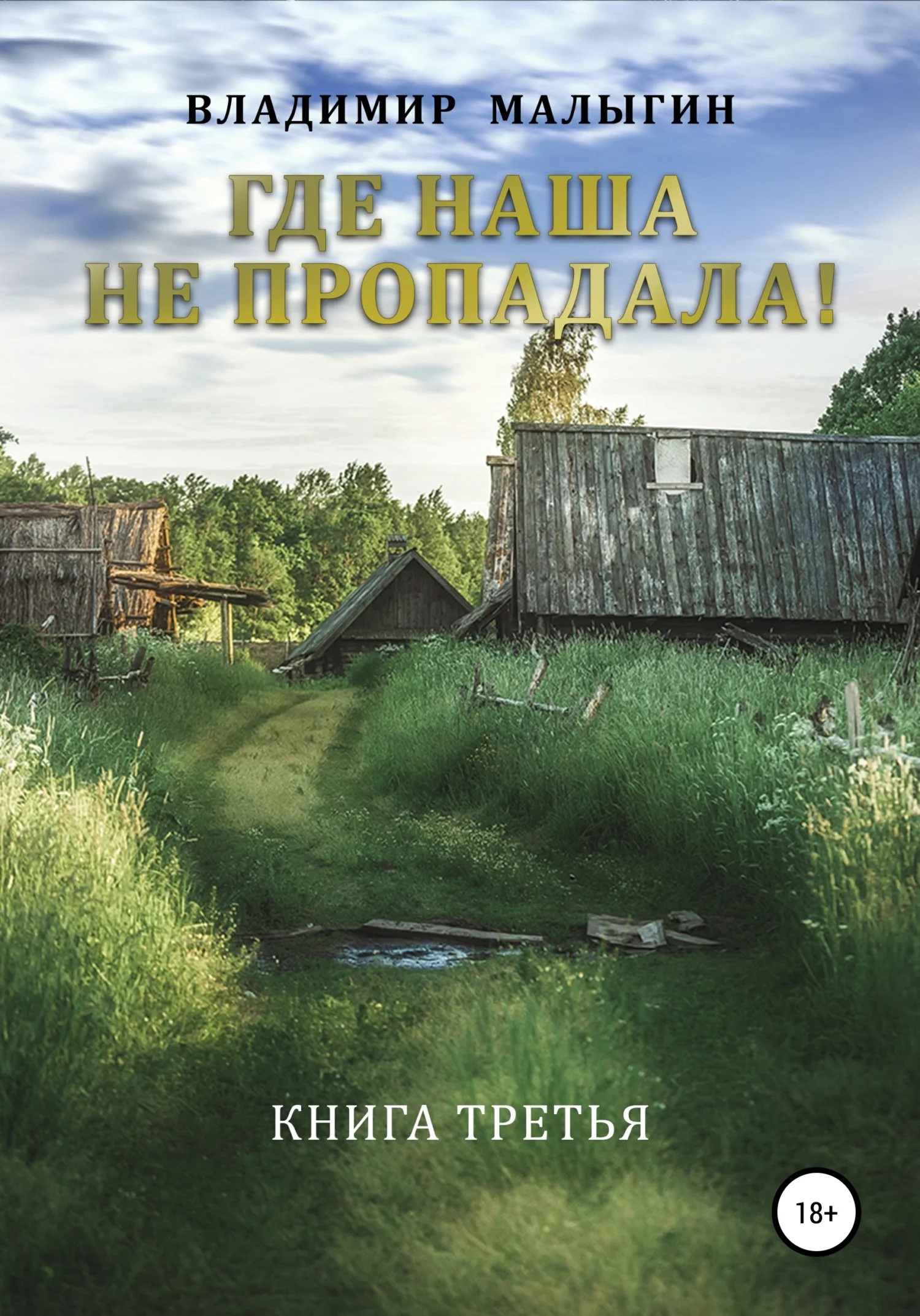 Обложка Где наша не пропадала 3