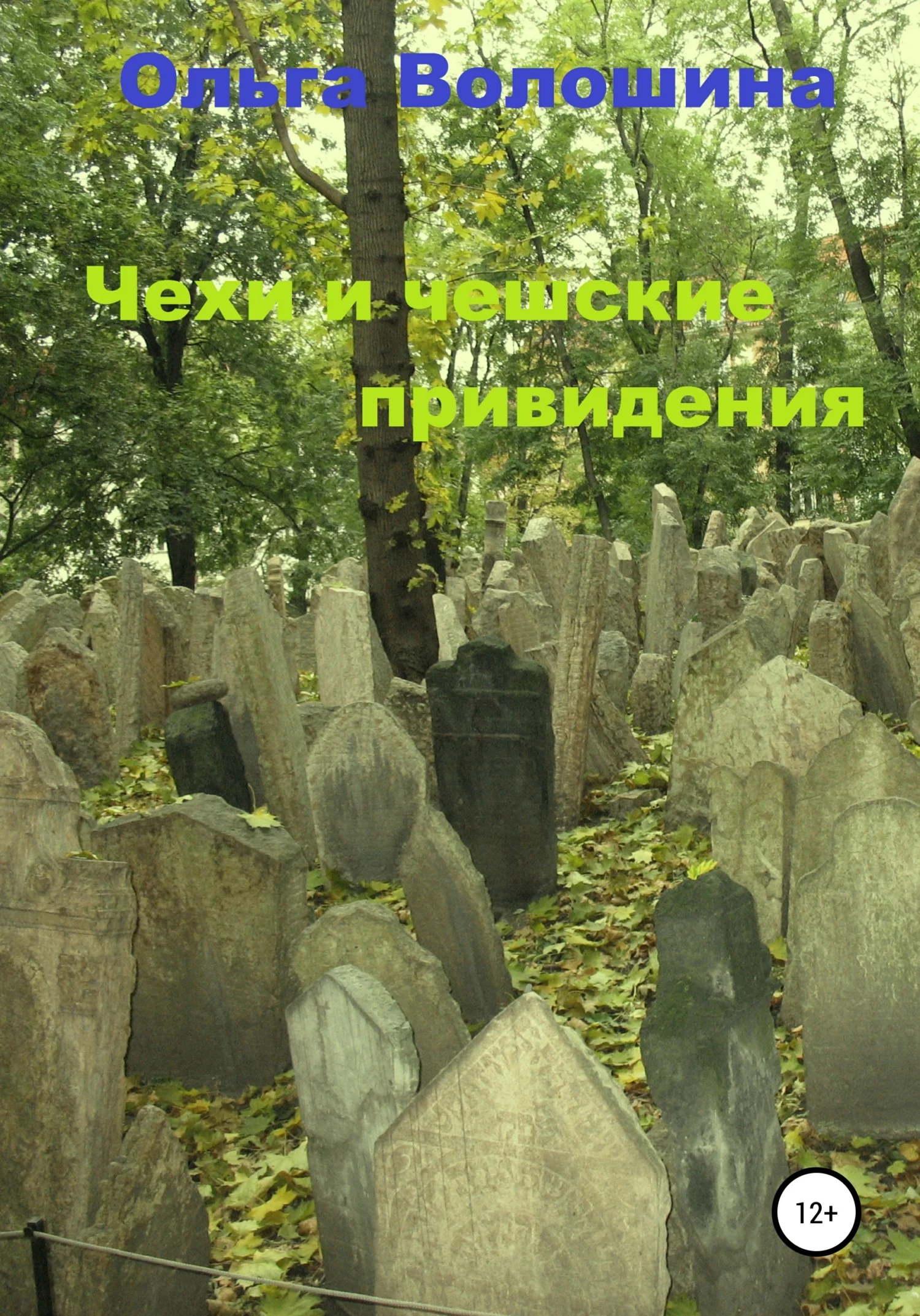 Обложка Чехи и чешские привидения