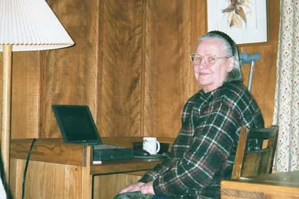 Обложка Синее чудо