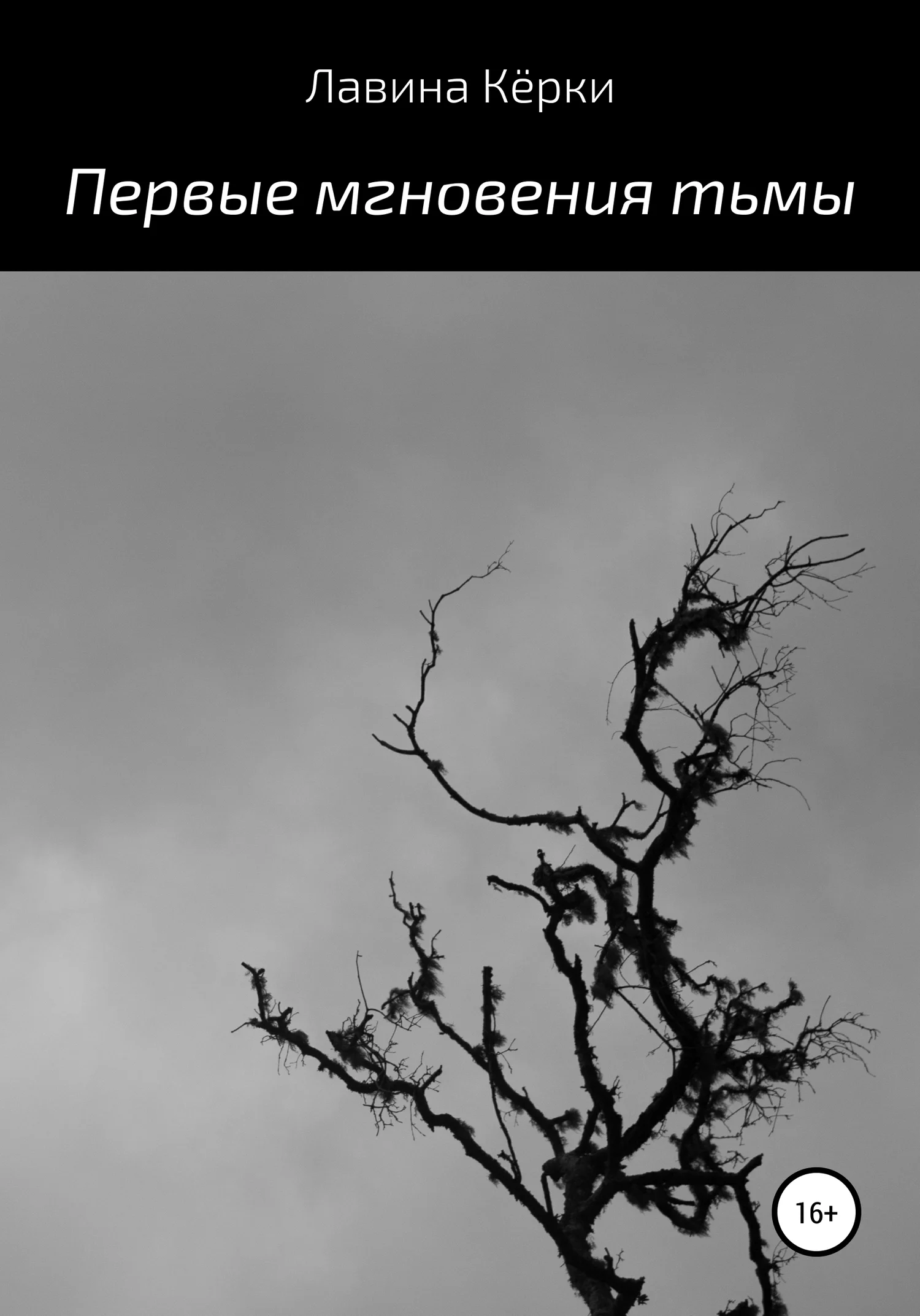Обложка Первые мгновения тьмы
