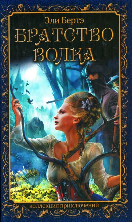 Обложка Братство волка
