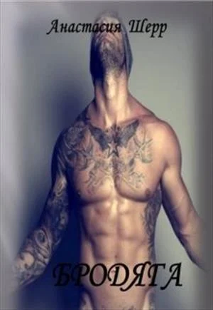 Обложка Бродяга