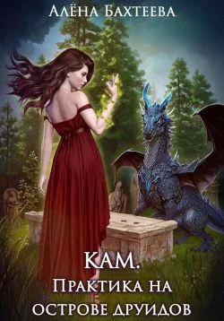 Обложка Кам. Практика на острове друидов