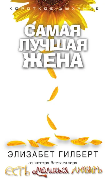 Обложка Самая лучшая жена (сборник)