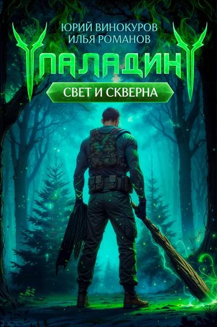 Обложка Паладин. Свет и Скверна II