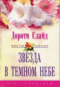 Обложка Звезда в темном небе