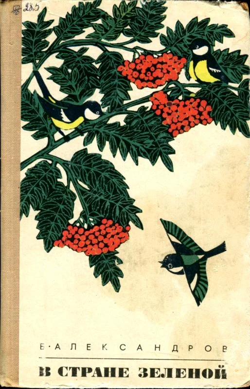 Обложка В стране зеленой