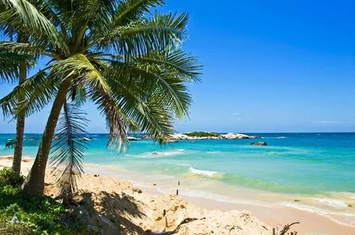 Обложка Новый год в океане