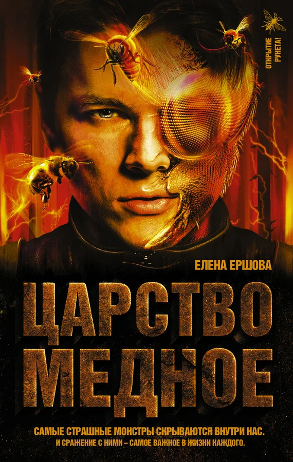 Обложка Царство медное