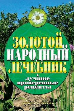 Обложка Золотой народный лечебник. Лучшие проверенные рецепты
