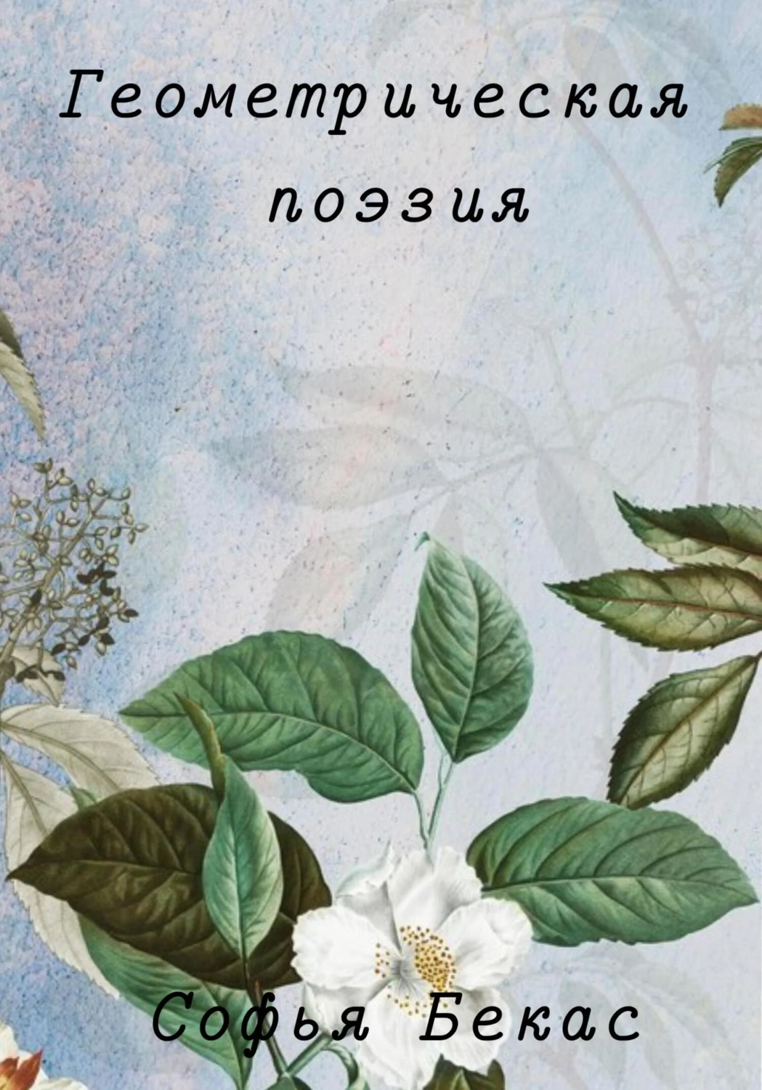 Обложка Геометрическая поэзия