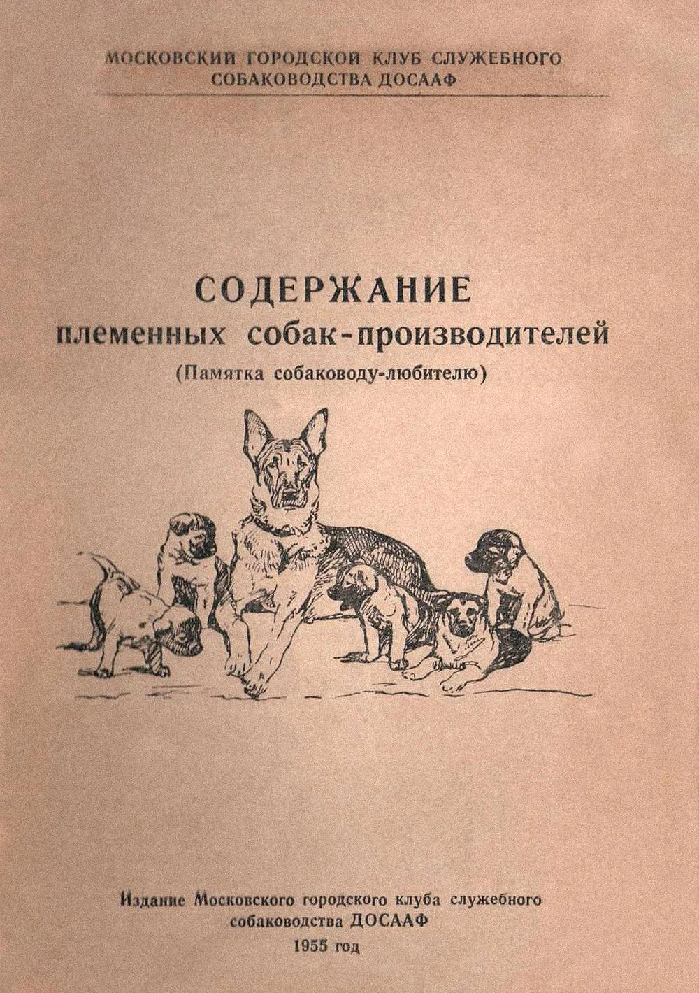 Обложка Содержание племенных собак-производителей (Памятка собаководу-любителю)