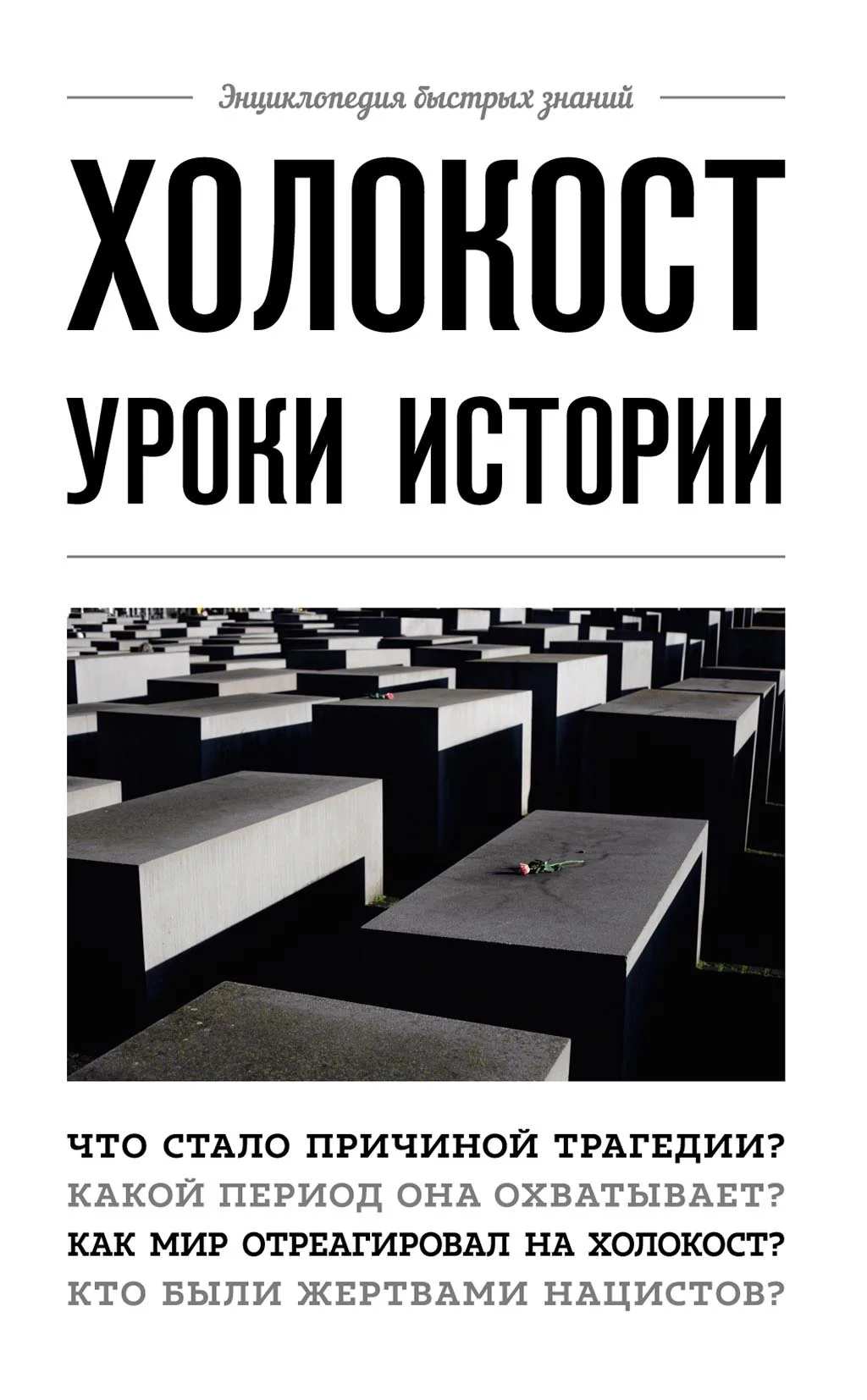 Обложка Холокост. Уроки истории