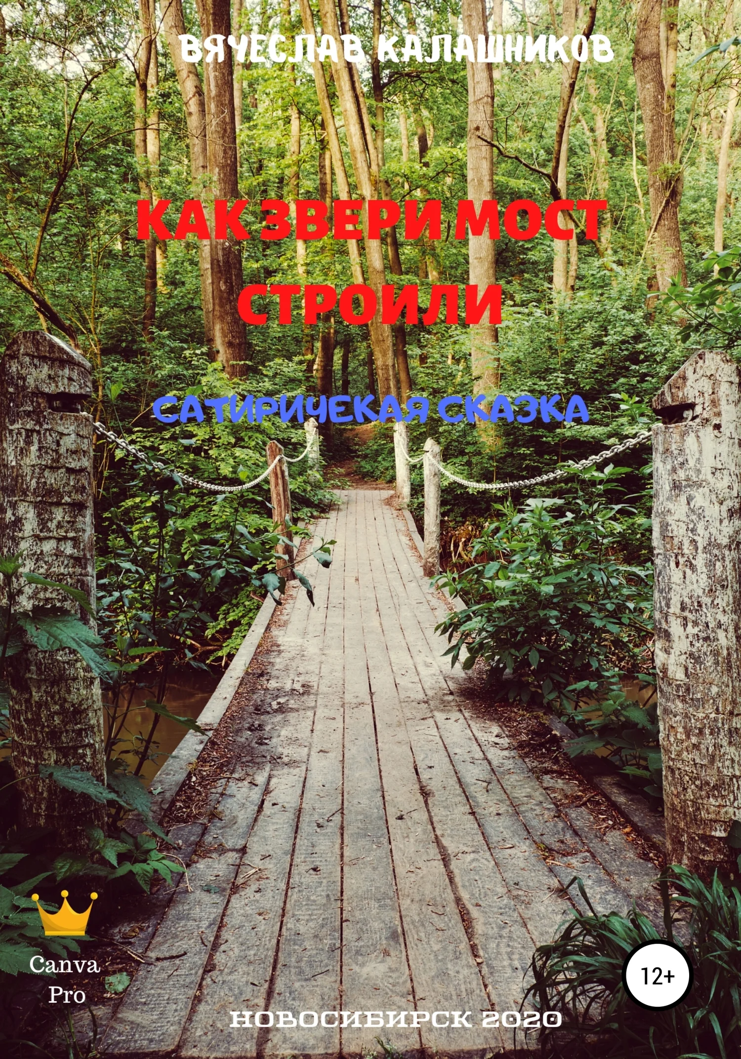 Обложка Как звери мост строили