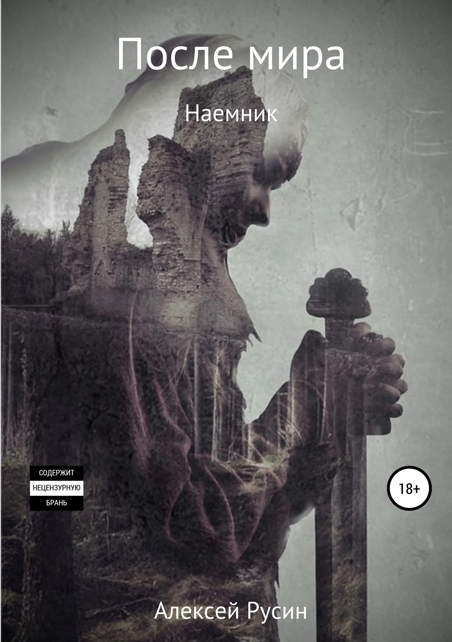 Обложка После мира. Наемник