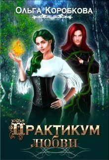 Обложка Практикум Любви