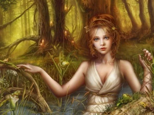 Обложка Провидица (СИ)