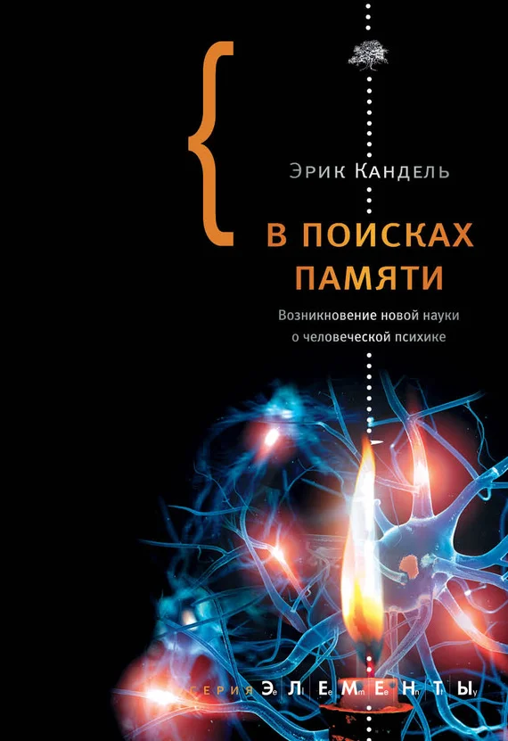 Обложка В поисках памяти: Возникновение новой науки о человеческой психике